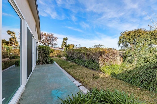 view of yard featuring a patio