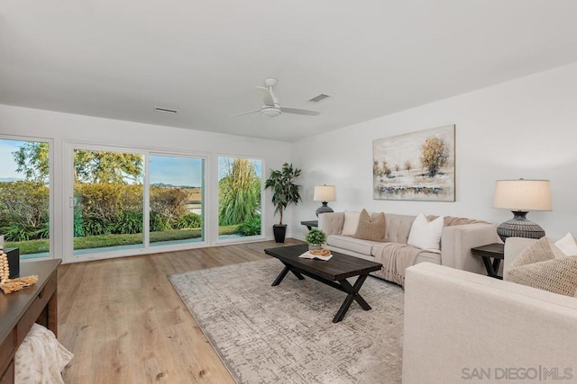 living room featuring ceiling fan and light hardwood / wood-style floors