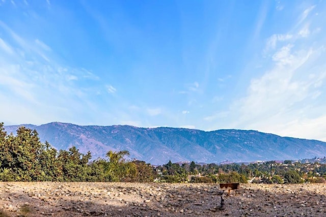 property view of mountains