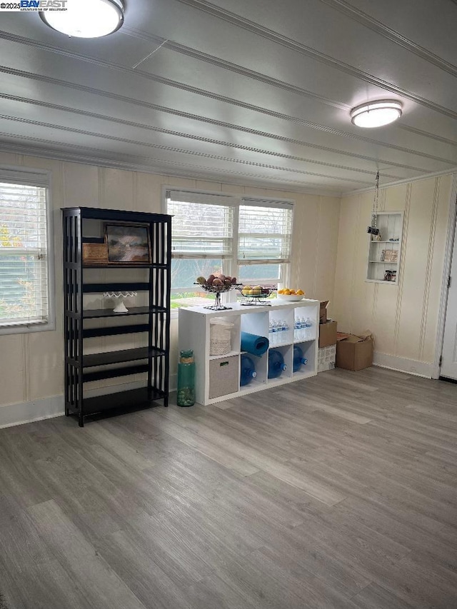 basement with hardwood / wood-style floors