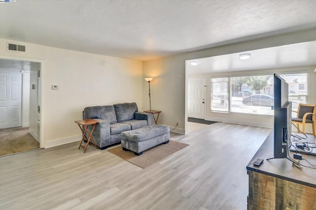 living room featuring light wood-type flooring