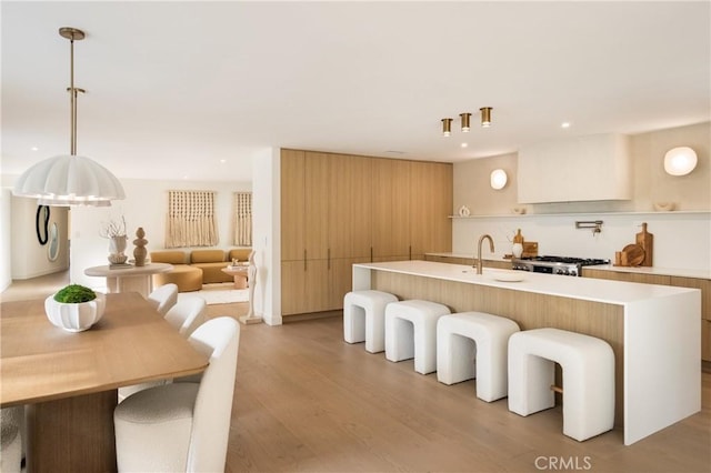 kitchen with a center island with sink, light hardwood / wood-style flooring, stove, decorative light fixtures, and sink