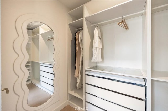 view of walk in closet