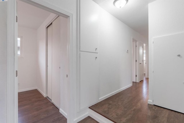 hallway with dark wood-type flooring