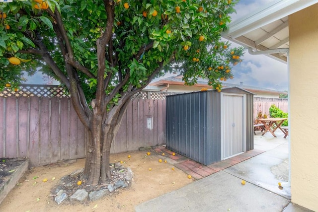 view of patio / terrace featuring a shed