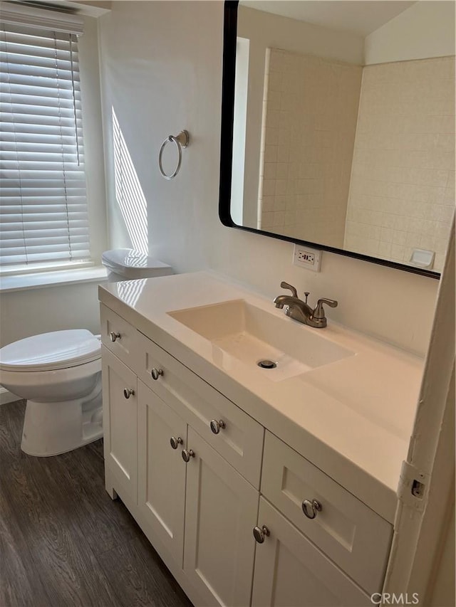 bathroom with vanity, toilet, and wood finished floors