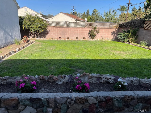 view of yard featuring a fenced backyard