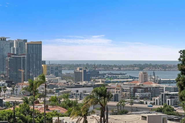 view of city with a water view