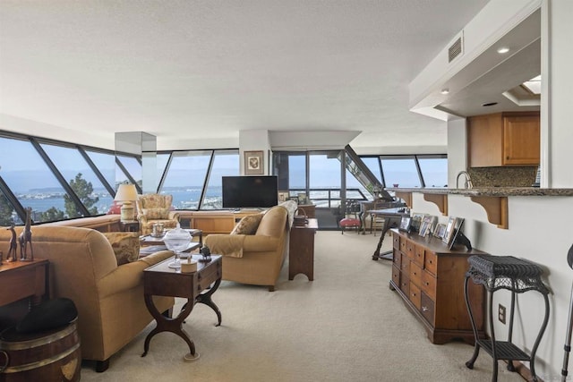 living room with a skylight, a mountain view, light carpet, and a wealth of natural light