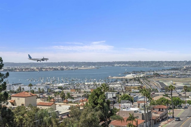 aerial view with a water view