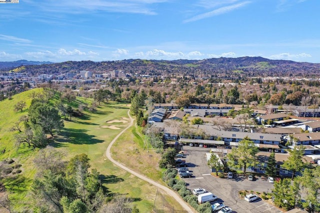 aerial view with a mountain view