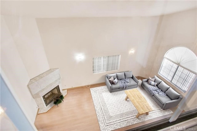 living room featuring hardwood / wood-style flooring and a fireplace