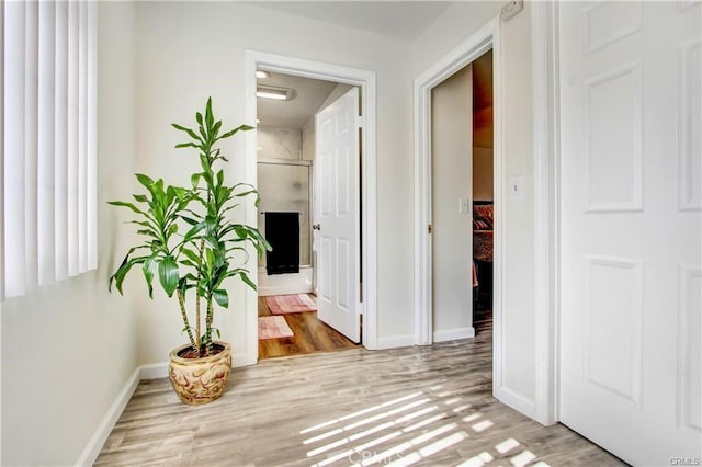 hall featuring wood-type flooring