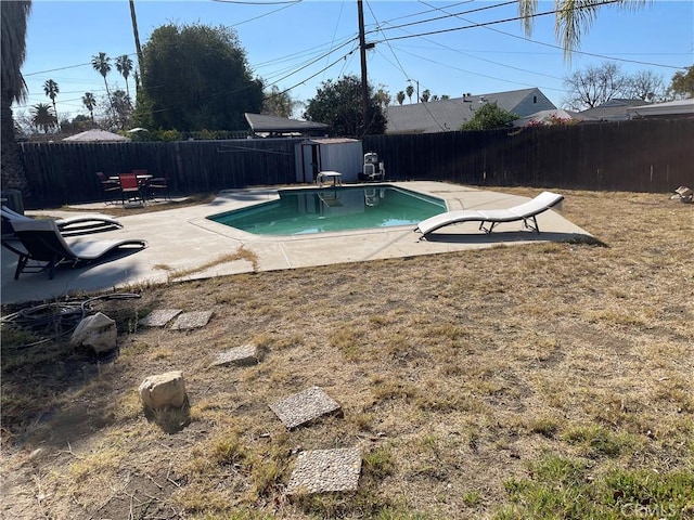 view of pool with a storage shed, a diving board, and a patio