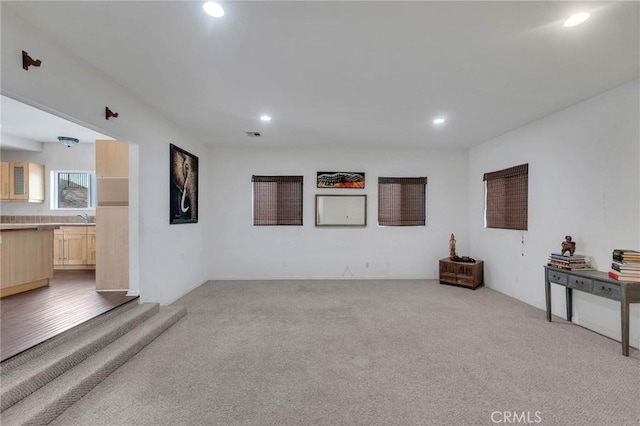 living room featuring sink and carpet floors