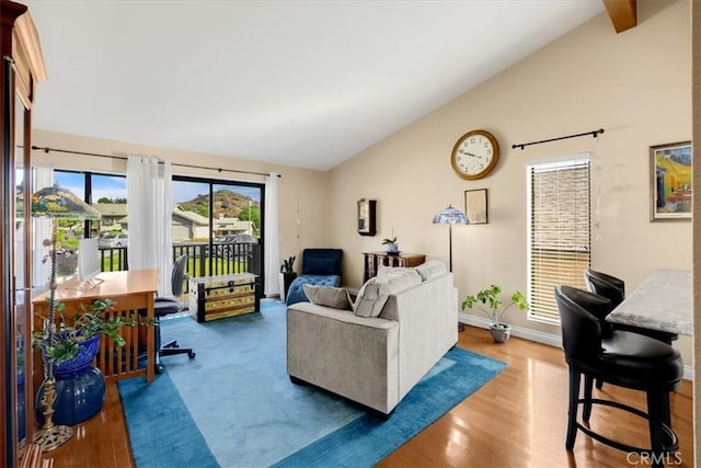 living room with vaulted ceiling and wood-type flooring