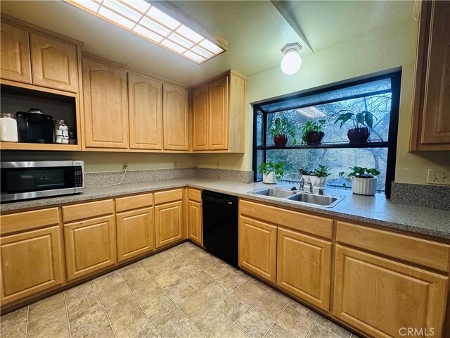 kitchen with dishwasher and sink