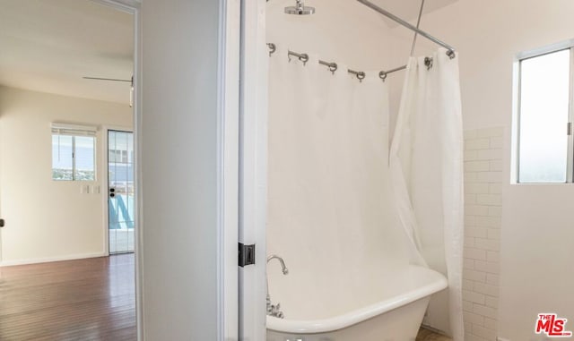 bathroom featuring hardwood / wood-style floors