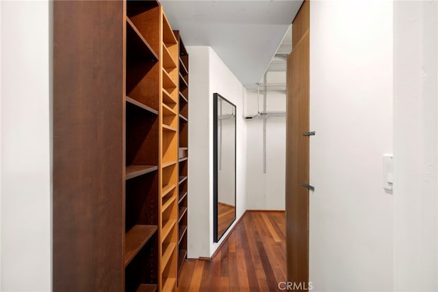 spacious closet with dark hardwood / wood-style floors