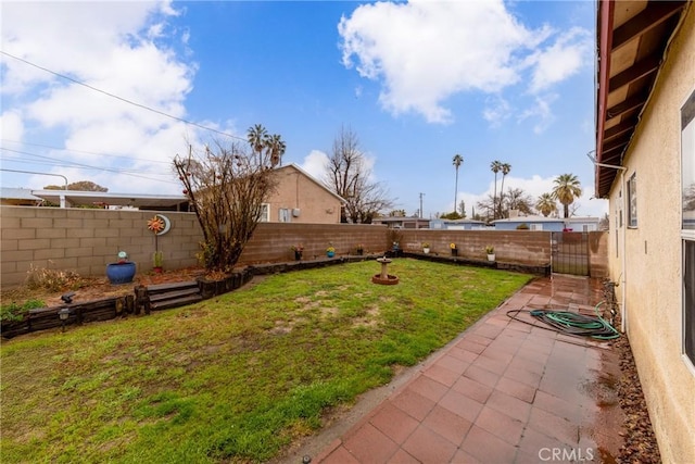 view of yard featuring a patio area