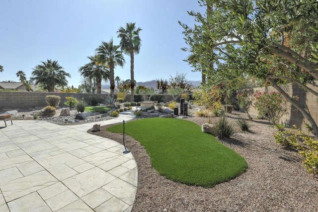 view of yard with a patio