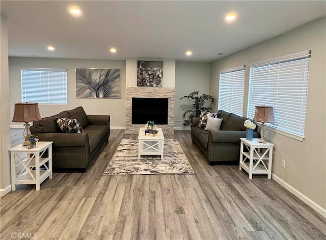 living room with hardwood / wood-style flooring and a stone fireplace