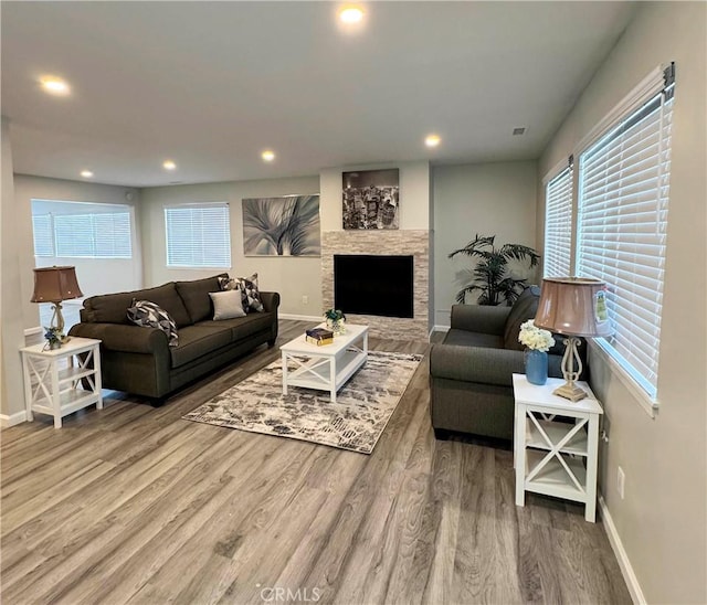 living room featuring a fireplace and wood-type flooring