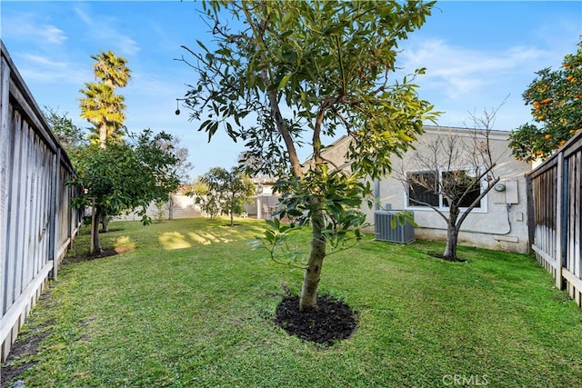 view of yard featuring central AC