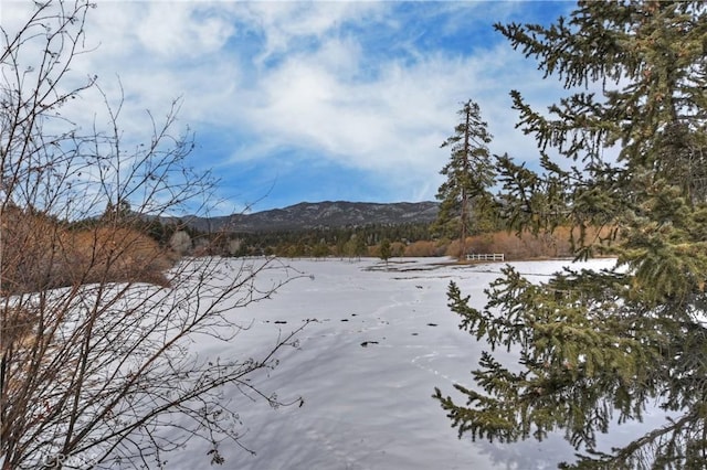 property view of mountains