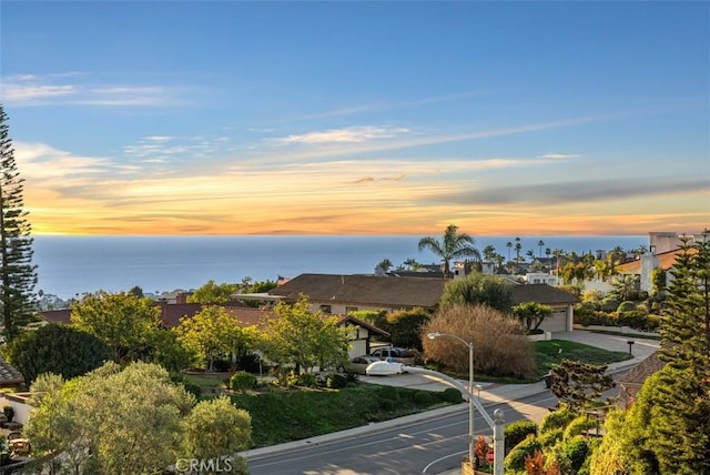 view of community featuring a water view and an attached garage