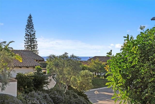 102 Via Zapata, San Clemente, CA 92672 - photo 38