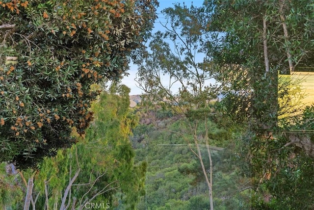 view of local wilderness