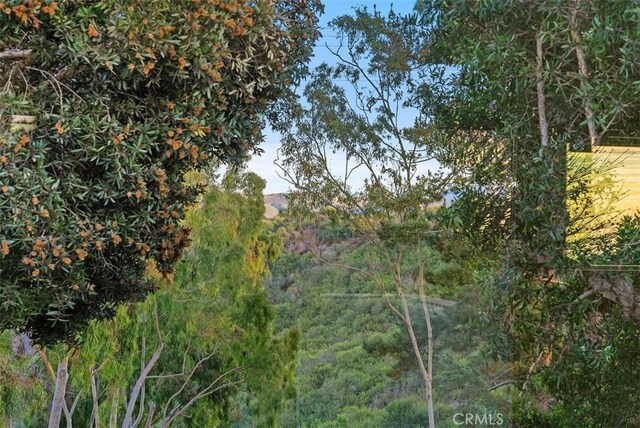 102 Via Zapata, San Clemente, CA 92672 - photo 32