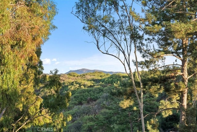 property view of mountains featuring a view of trees