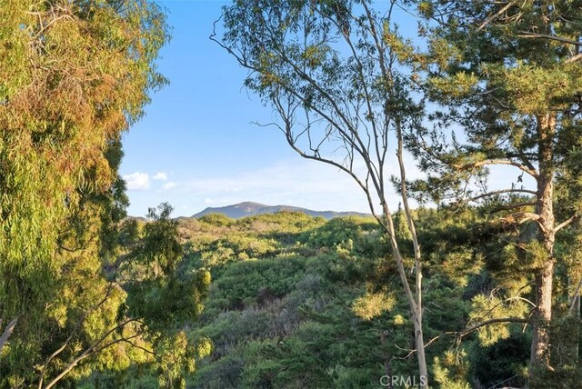 102 Via Zapata, San Clemente, CA 92672 - photo 44