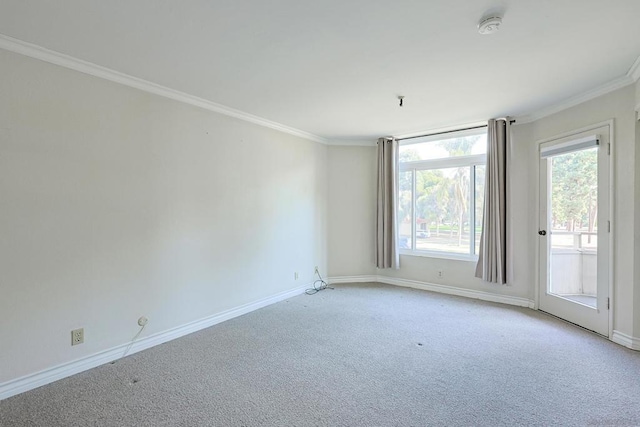 empty room featuring ornamental molding and light colored carpet