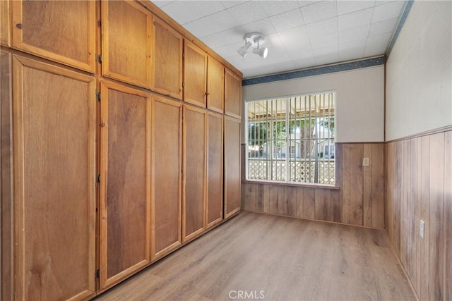 interior space with wooden walls, light wood-type flooring, and a closet