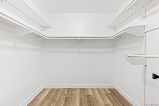 spacious closet featuring hardwood / wood-style flooring