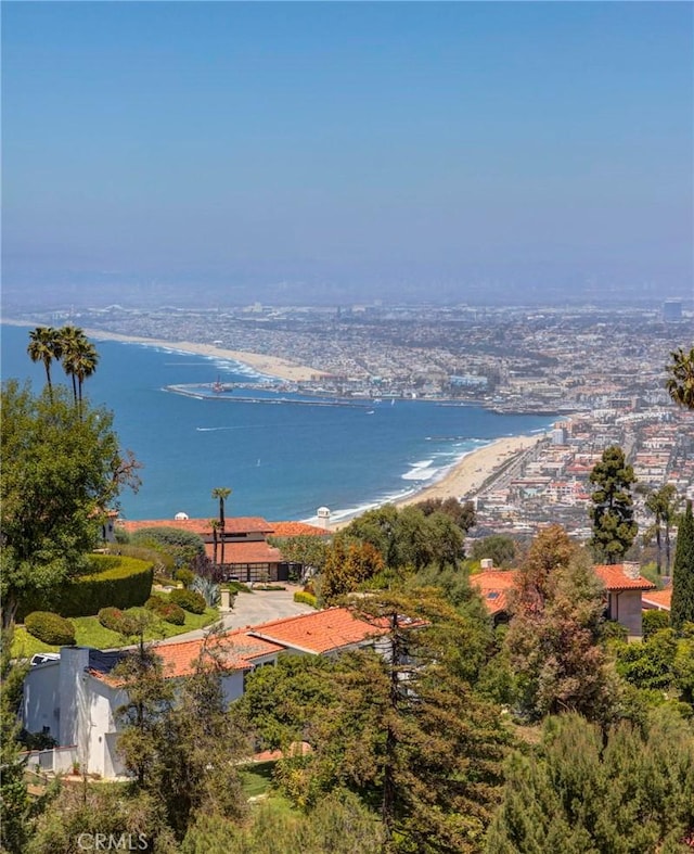 property view of water featuring a view of the beach