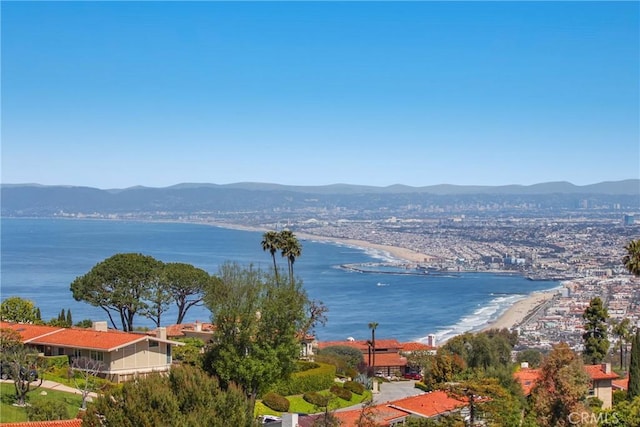 property view of water with a mountain view