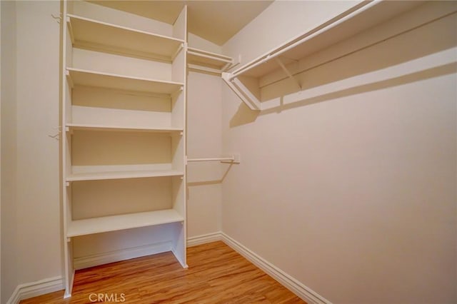 walk in closet with hardwood / wood-style flooring