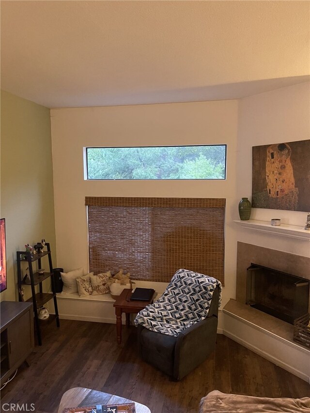 sitting room featuring dark wood-type flooring