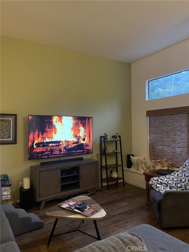 living room featuring dark wood-type flooring