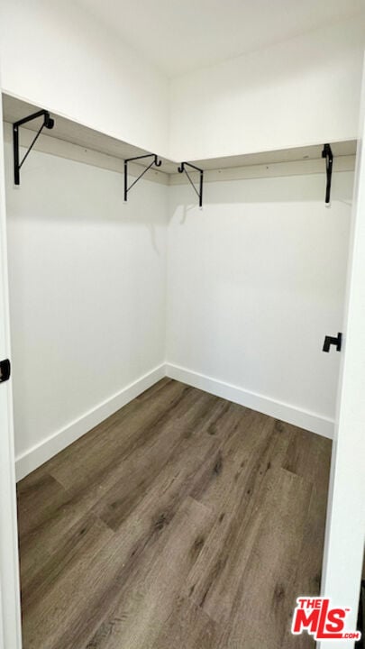 spacious closet with dark hardwood / wood-style flooring