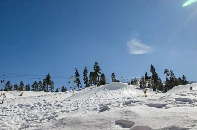 view of yard covered in snow