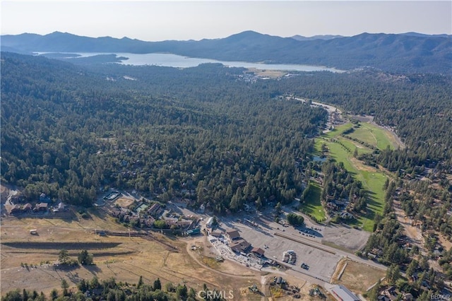 drone / aerial view featuring a mountain view