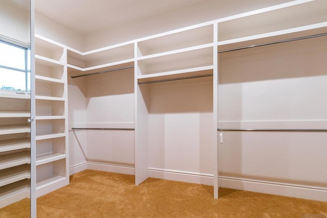 spacious closet with light carpet