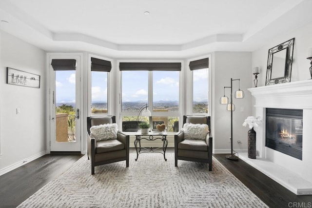 living area featuring dark wood-type flooring and a tray ceiling