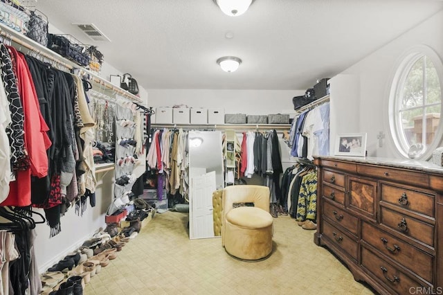 view of spacious closet