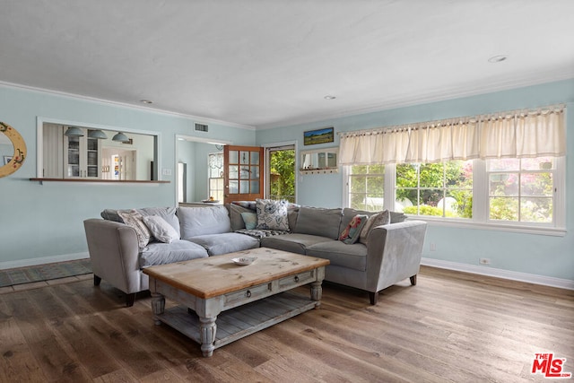 living room featuring crown molding and wood-type flooring